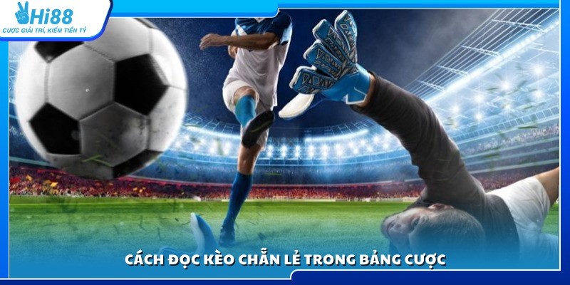 Hướng dẫn cách xem và đọc kèo chẵn lẻ chuẩn xác